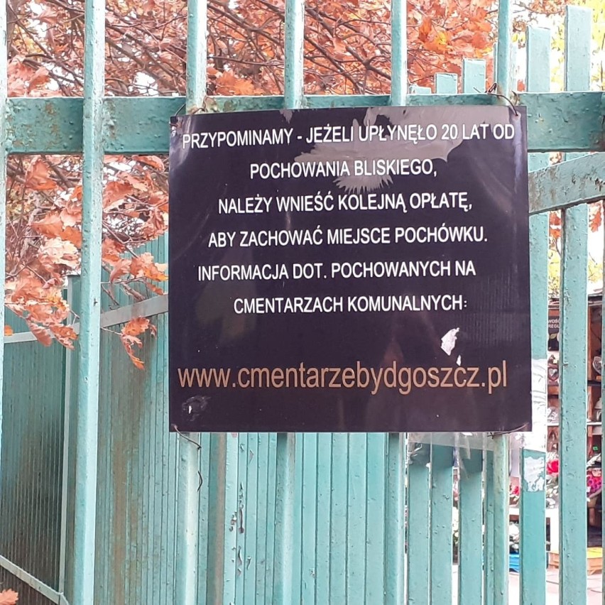 Na bydgoskich cmentarzach komunalnych ponad 5,6 tys. grobów...