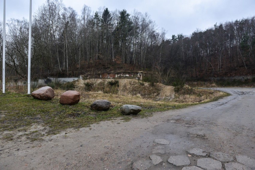 Polanka Redłowska w Gdyni to popularne miejsce pikników i...