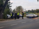 Wypadek z udziałem motocyklisty! 70-letni kierowca hyundaia wyjechał z leśnej drogi [zdjęcia]