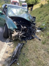 Wypadek na drodze wojewódzkiej w Czasławiu. Są poszkodowani 