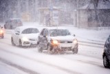 IMGW wydał ostrzeżenia II stopnia o śnieżycach na Dolnym Śląsku. Wszędzie jest biało, miejscami spadnie do 25 cm śniegu
