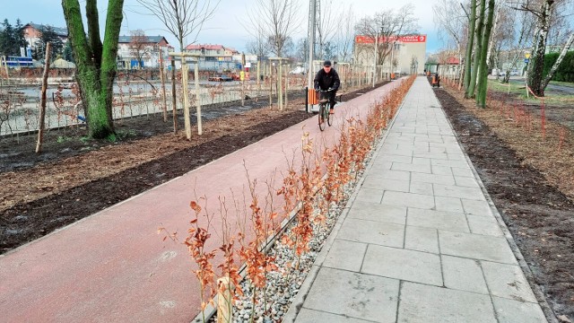 Jest nowa ścieżka rowerowa i deptak w samym centrum Pleszewa. Wiosną i latem będzie tutaj pięknie! Zobacz, jak wygląda ten fragment miasta