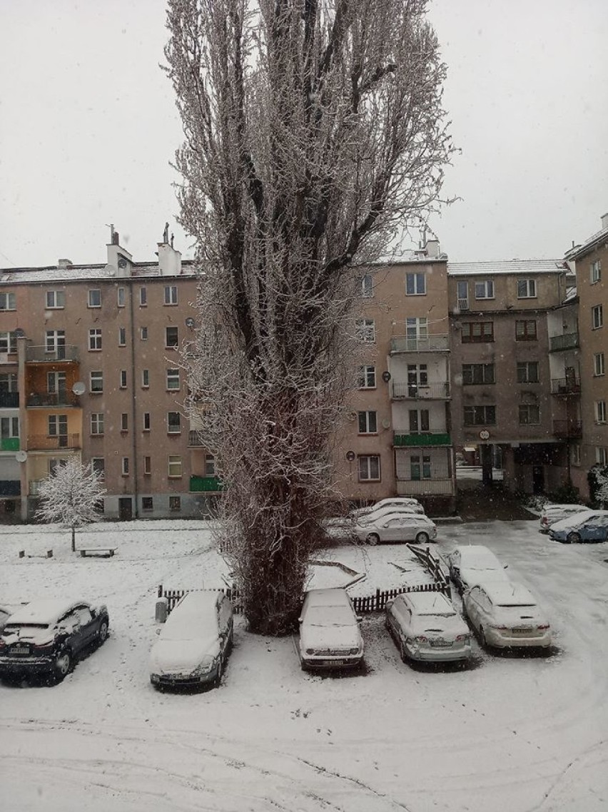 Śnieg we Wrocławiu. Oto zdjęcia Czytelników Naszego Miasta Wrocław (ZOBACZCIE)