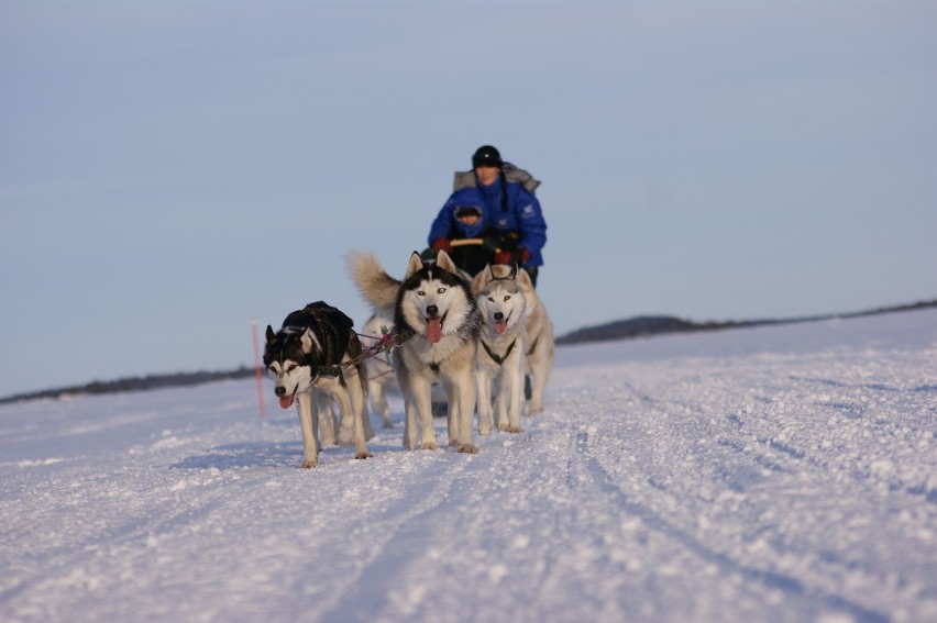 Krzysztof Nowakowski podróżuje przez życie psim zaprzęgiem. Oto niezwykły świat jego wypraw (FOTO)