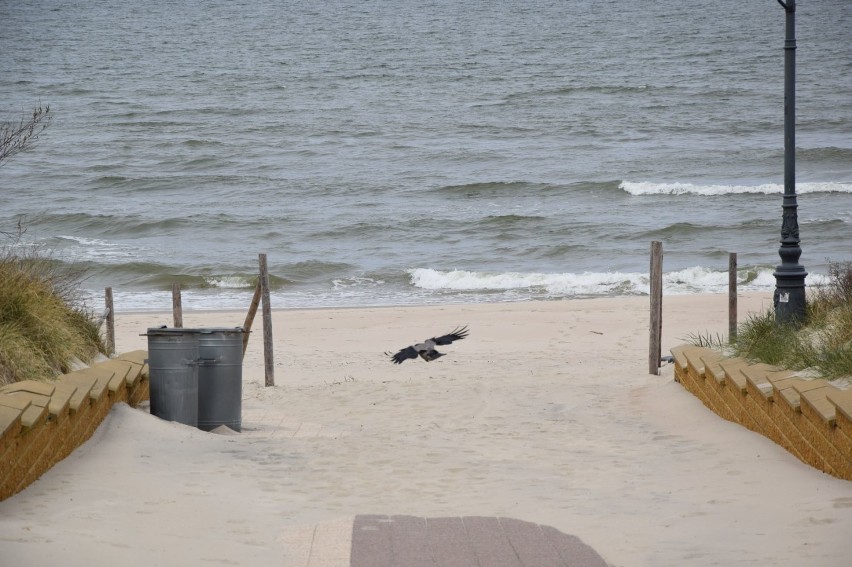 Lasy, parki i plaże od są już otwarte. Poluzowane ograniczenia w czasie epidemii