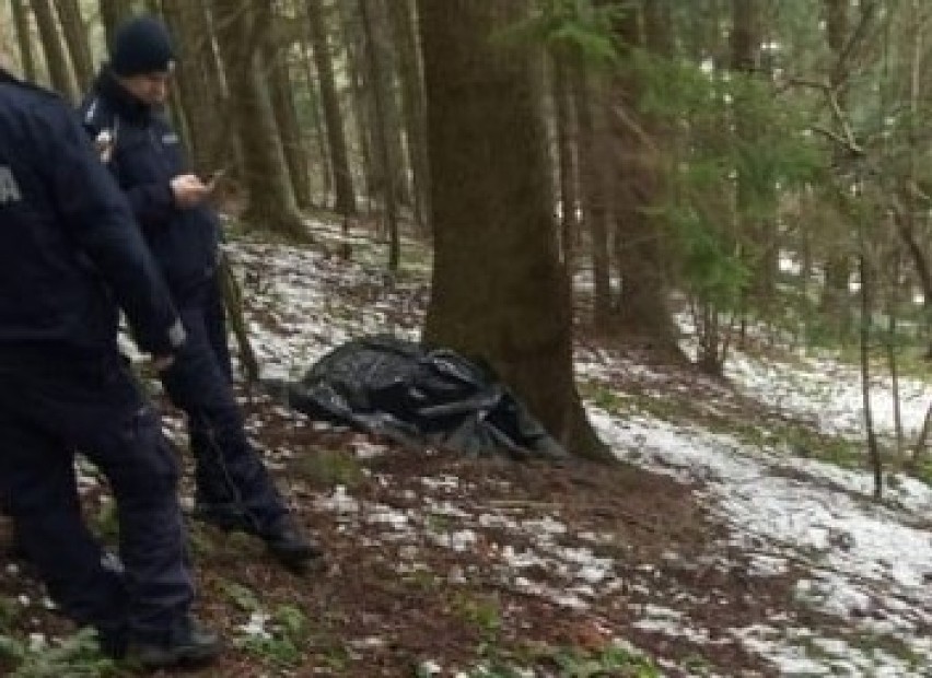 Ciało Józefa Radziaka znaleziono w lesie koło Binczarowej....