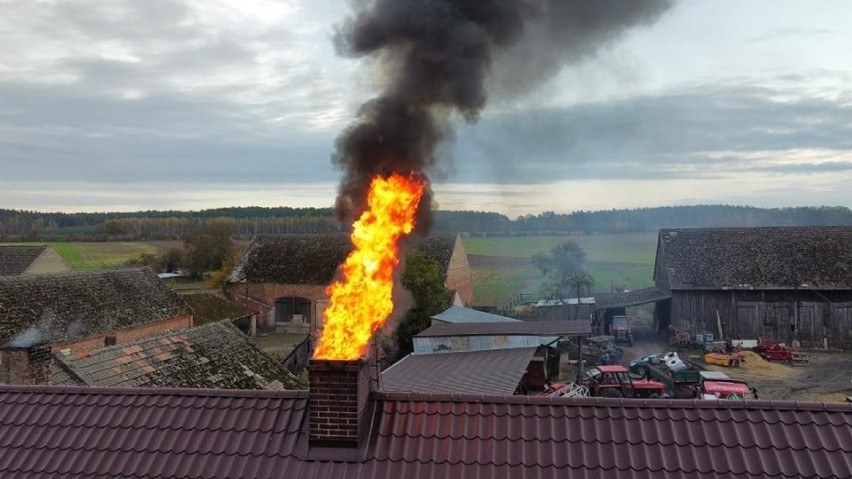 Płomienie strzelały wysoko w górę