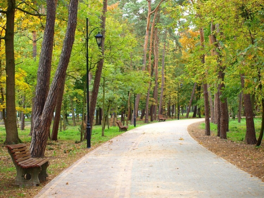 Park Sosnowy