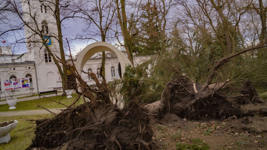 Wichura w Parku Solankowym w Inowrocławiu