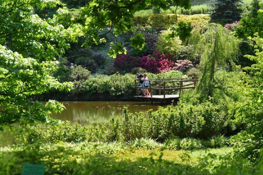 Arboretum Wojsławice