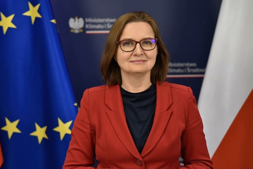 Anita Sowińska pełni funkcję podsekretarza stanu w...