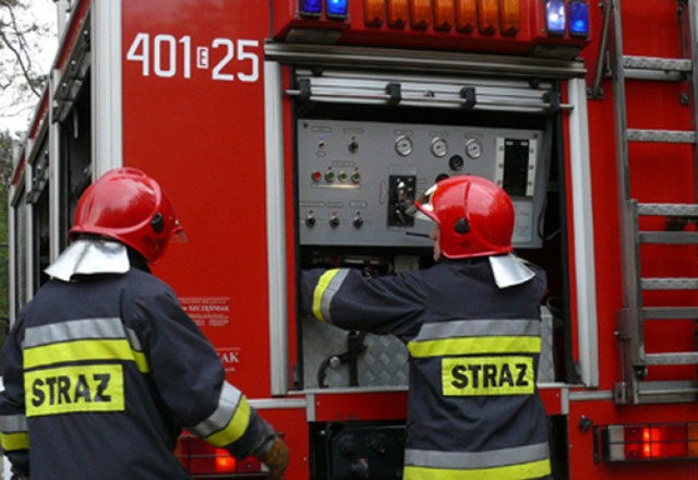 Strażacy gasili pożar lasów w Ulinii