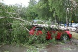 Nowy Sącz. Powalone drzewa, zalane drogi, rozbite szyby w samochodach. Krajobraz miasta po nawałnicy [ZDJĘCIA, WIDEO]