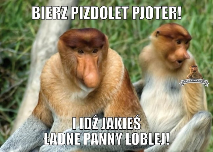 Lany poniedziałek na wesoło. Zobaczcie najśmieszniejsze memy o śmigusie-dyngusie!       