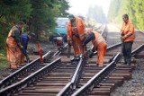 Uwaga, utrudnienia na linii Żywiec - Zwardoń. Będzie komunikacja zastępcza