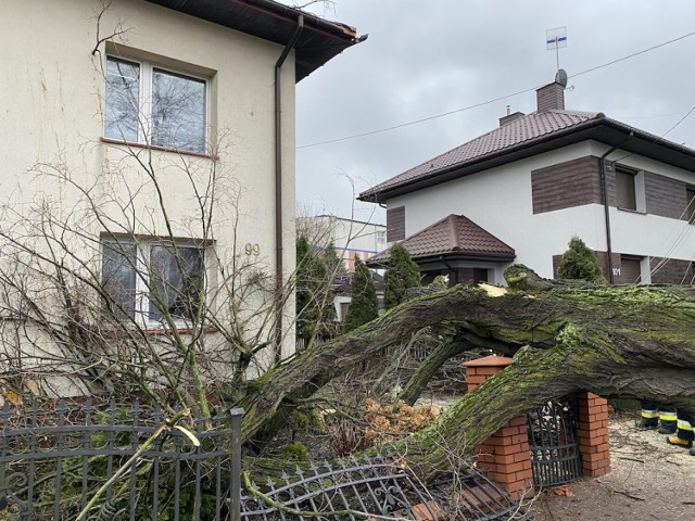 Wichura nad powiatem piotrkowskim zerwała dachy z wielu domów 17.02.2022. Największe zniszczenia w Sierosławiu, Rękoraju i Wolborzu