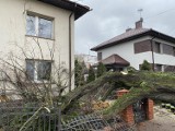 Wichura nad powiatem piotrkowskim zerwała dachy z wielu domów 17.02.2022. Największe zniszczenia w Sierosławiu, Rękoraju i Wolborzu