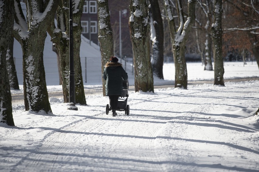 Śnieżne krajobrazy w Darłowie i Sławnie [zdjęcia]