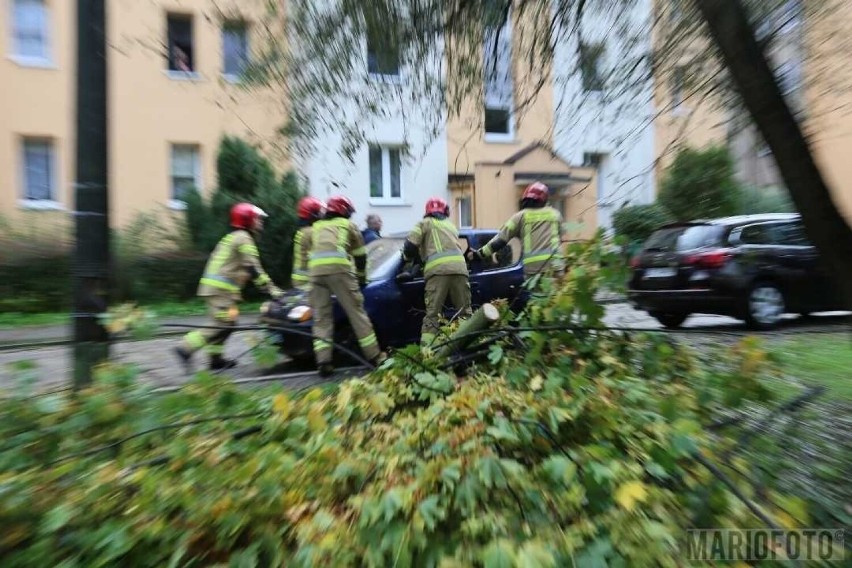 Drzewo przewróciło się na samochody w Opolu.