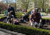 W piątek warsztaty ogrodnicze z Witoldem Czuksanowem. Mieszkańcy Gorlic będą mogli dowiedzieć się, jak sadzić i pielęgnować kwiaty.