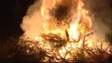 "Zabierz swoją starą". Mieszkańcy Polic wspólnie spalili ponad 150 choinek [wideo]