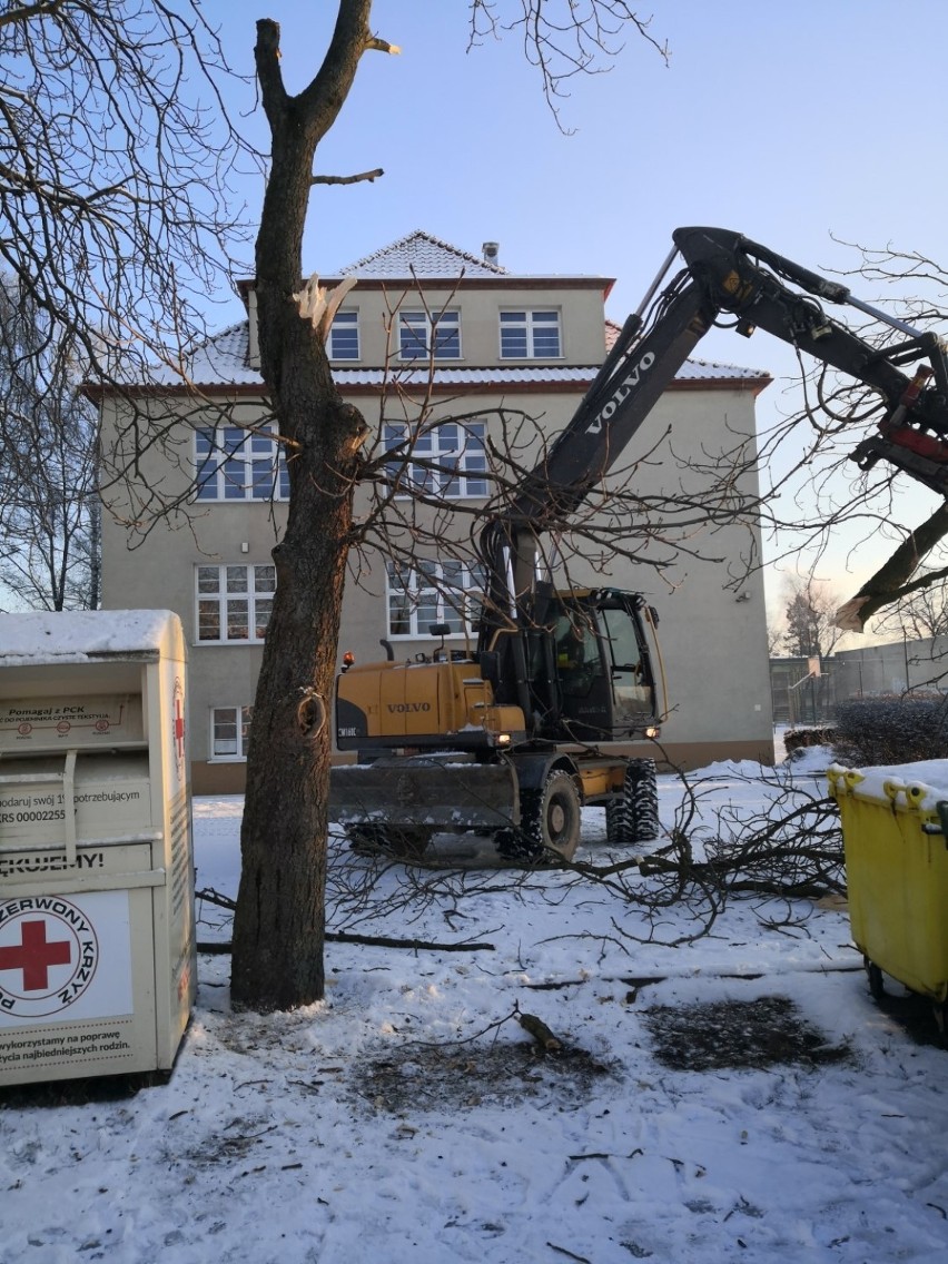Lębork. Wycięto pierwsze drzewo pod budowę parkingu przy Wojska Polskiego i SP 1