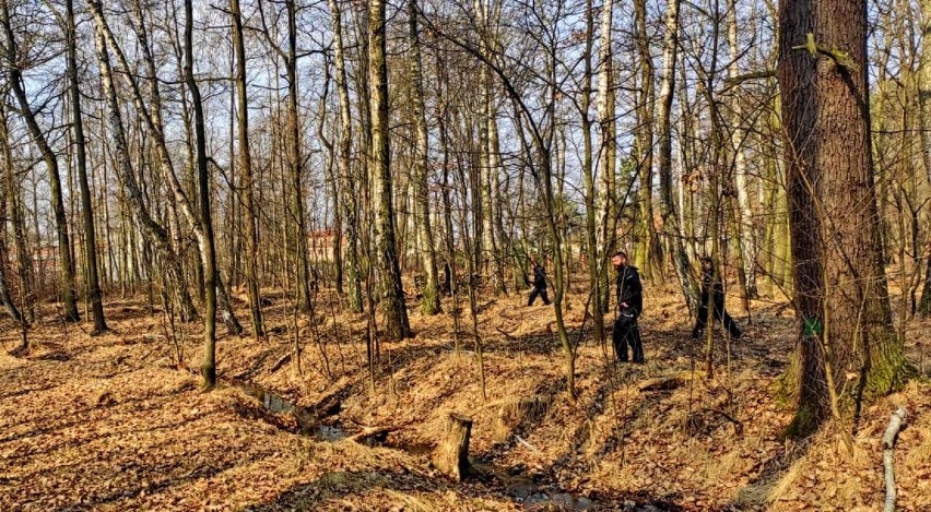 Gliwice. Ponad 80 ludzi przeczesywało las w Łabędach. Gdzie jest Marian Czarnecki?