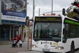 Nowe kursy autobusów w gminie Pruszcz Gdański. Będą dowoziły także dzieci i młodzież