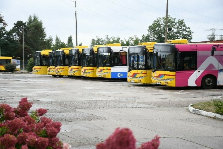 Tak wyglądają autobusy MPK we Włocławku. Miasto planuje...