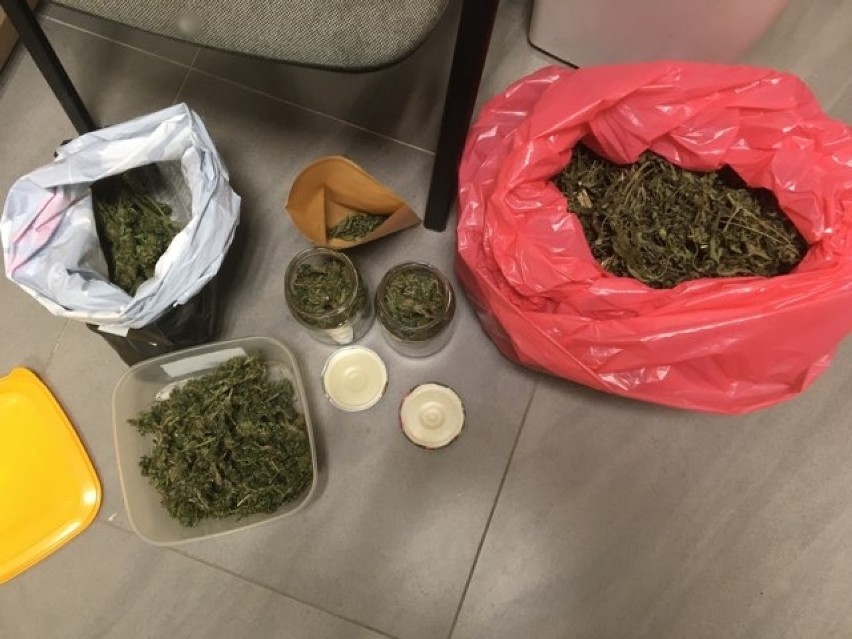 Łomża. Policjanci zabezpieczyli ponad 710 gramów narkotyków