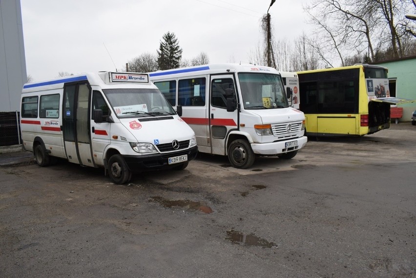 Brzesko. MPK wprowadziło darmowe przejazdy z powodu koronawirusa, uszczuplono też rozkład jazdy