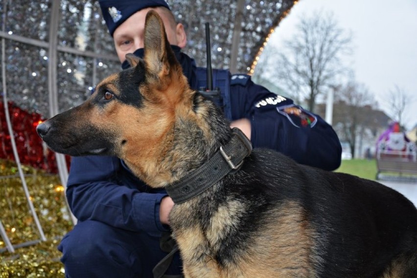 Do suwalskiej policji dołączył owczarek niemiecki - Szarik