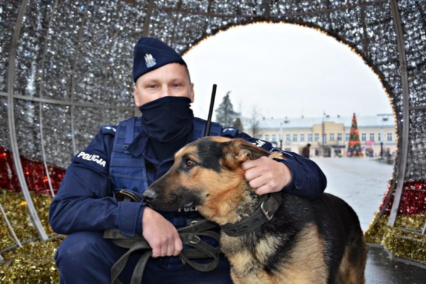 Do suwalskiej policji dołączył owczarek niemiecki - Szarik