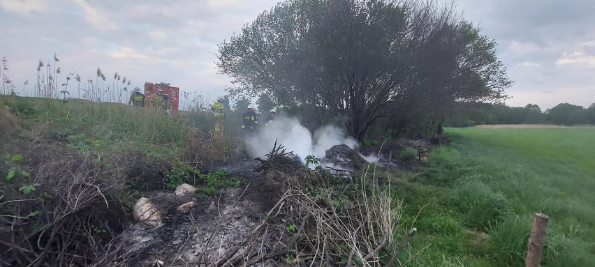 Pożar nieużytków w gminie Dobrzyca - 13 maja 2022 roku