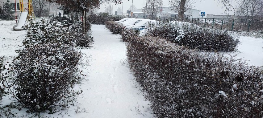 Wstajesz rano a tu… zima! Śnieg zaskoczył nie tylko drogowców. Uważajcie bo ślisko! [ZDJĘCIA]