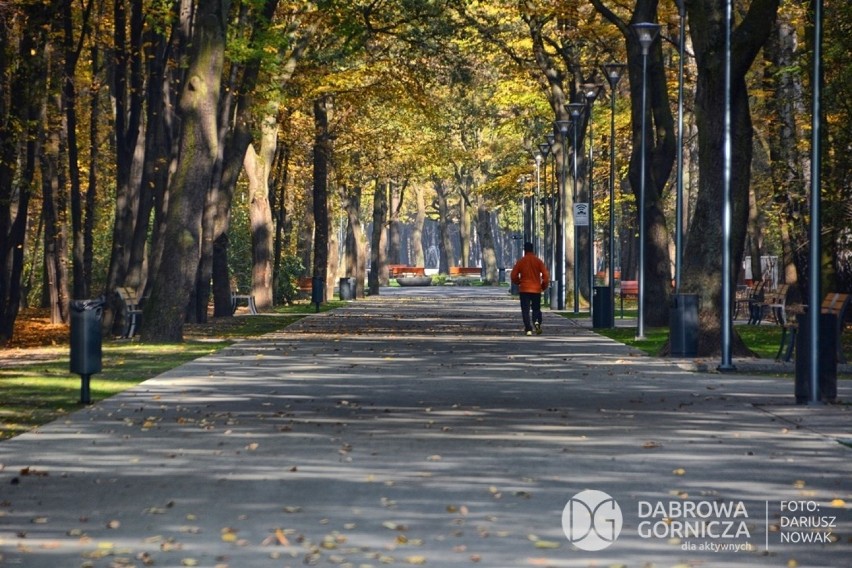 Tak wygląda po przebudowie park Zielona