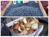 Na targowisku w Jędrzejowie pojawiły się pierwsze grzyby. Ile kosztują? Oto ceny wszystkich warzyw i owoców z wtorku 3 sierpnia