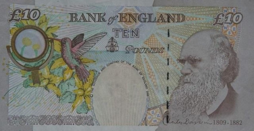 Obecny banknot 10-funtowy z wizerunkiem Darwina
