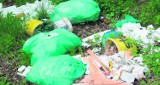 Ekologiczny patrol w Tychach: Mieli posprzątać w lesie czułowskim. Efektów nie widać