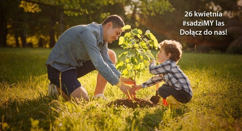 GÓRA. Jutro wszyscy #sadziMY. Idź do nadleśnictwa po sadzonki drzew