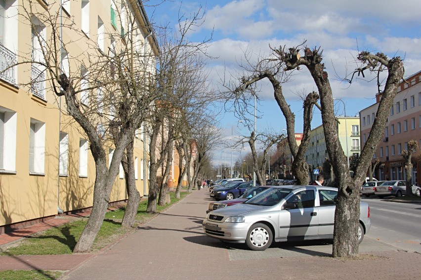 Projekt rewitalizacji zieleni w Kraśniku. Aleja jabłoniowa znów stanie się jednym z symboli miasta? Już wkrótce ruszą prace (ZDJĘCIA)