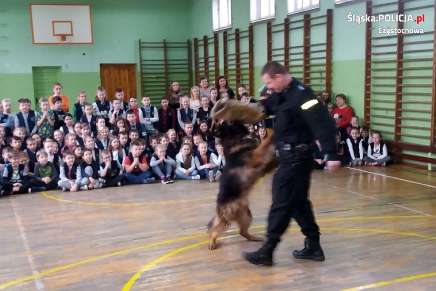 Policyjne psy Sara i Rambo odwiedziły szkołę 