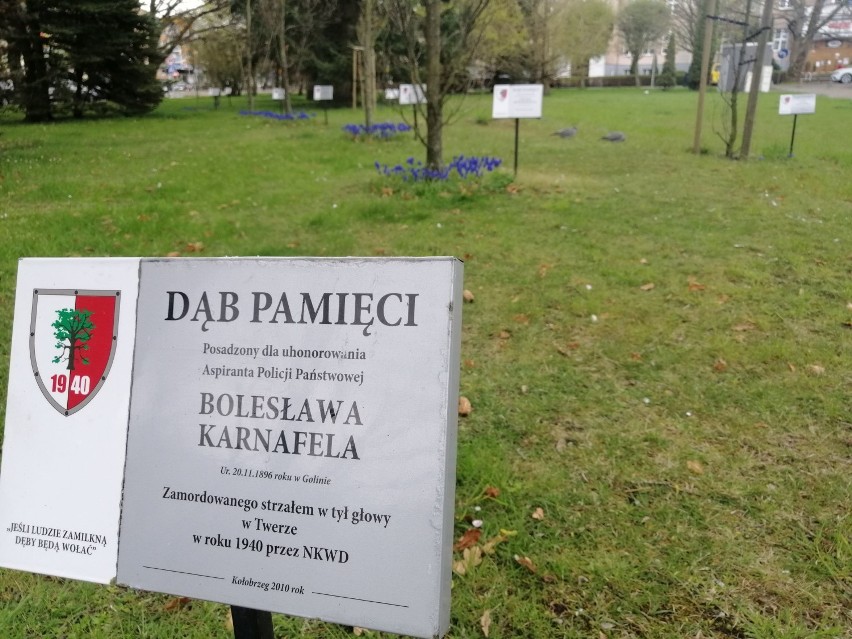 Obelisk ku czci ofiar zbrodni katyńskiej w centrum Kołobrzegu? Ruszają konsultacje