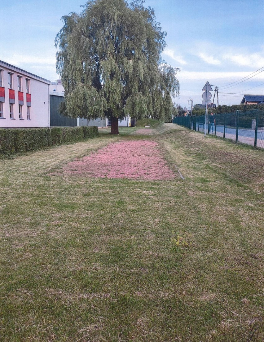 Mieszkańcy chcą budowy bieżni lekkoatletycznej przy SP11 w Roju