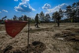 Żołnierze z żagańskiej Czarnej Dywizji czyszczą wojskowe poligony z "wybuchowego złomu"