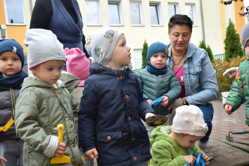 Żłobek miejski w Obornikach. Maluszki wraz z wychowawczyniami posadziły rośliny przed budynkiem