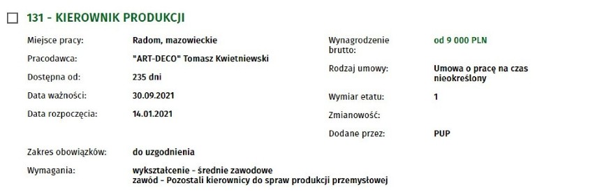 Zobacz oferty pracy w Radomiu. Ile pracodawcy dają zarobić i jakich pracowników poszukują?