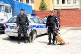 Zawody policyjnych psów w Krakowie [ZDJĘCIA]