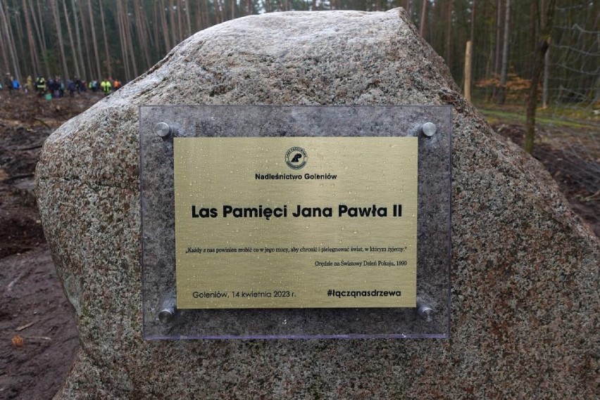 Las upamiętniający Jana Pawła II został posadzony w okolicach Miękowa