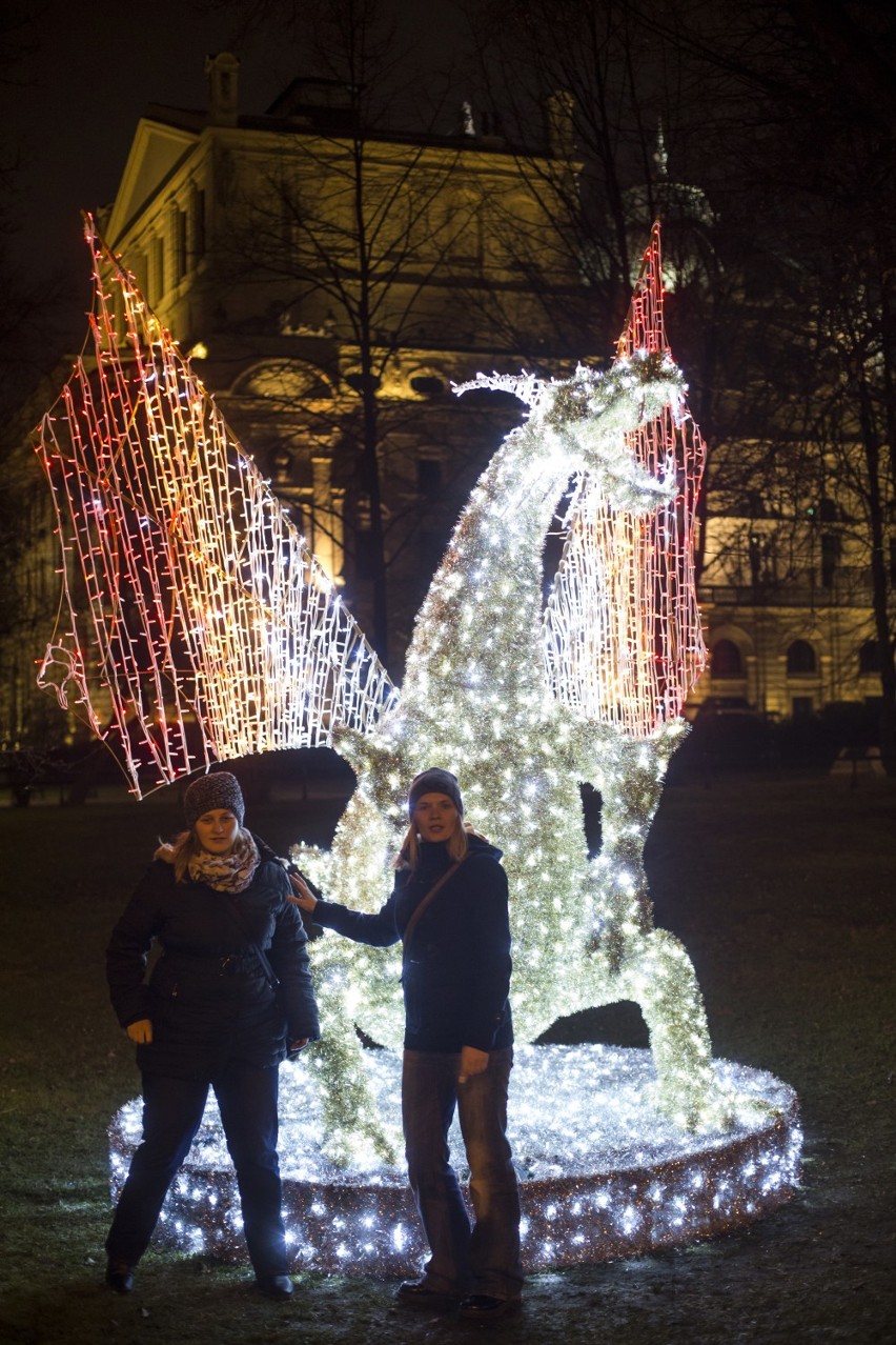 Dekoracje świąteczne w Krakowie. Smoki budzą kontrowersje [ZDJĘCIA, WIDEO] 